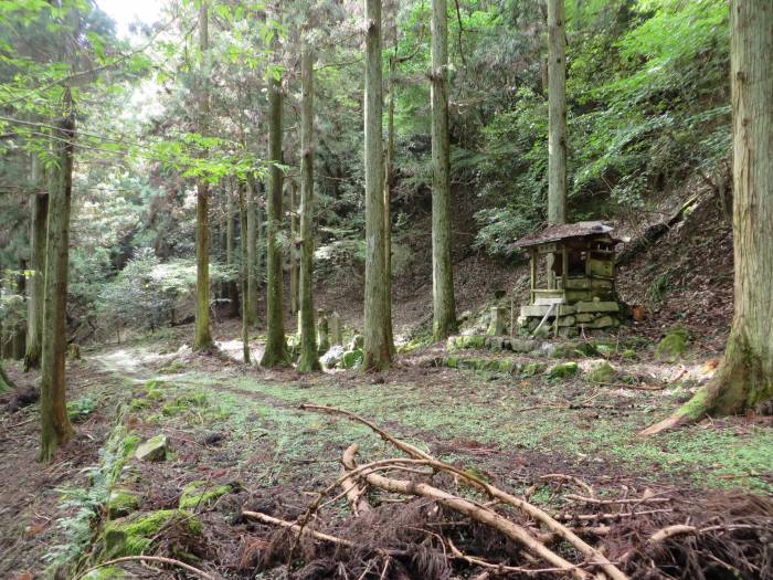 丹波篠山市住山/松尾山愛宕堂跡写真