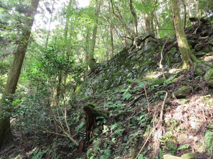 丹波篠山市住山/松尾山遺構の石積み写真