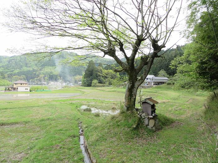 丹波篠山市見内/地蔵写真