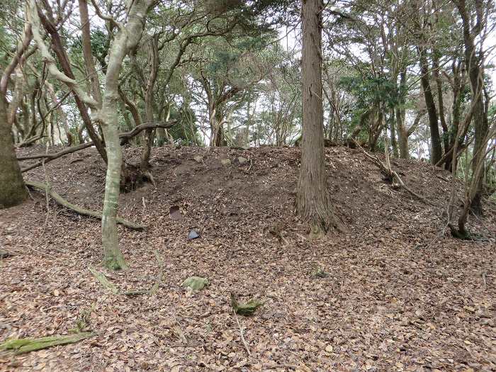 丹波篠山市住山/松尾山高仙寺城写真