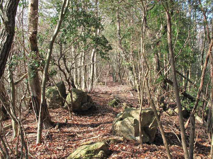 丹波篠山市住山/倉谷山・寺谷山写真