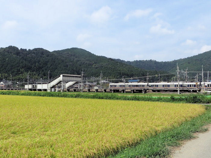 丹波篠山市南矢代/JR南矢代駅写真