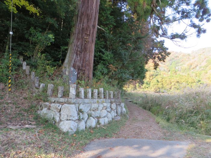 丹波篠山市波賀野/御神木・頌徳碑写真