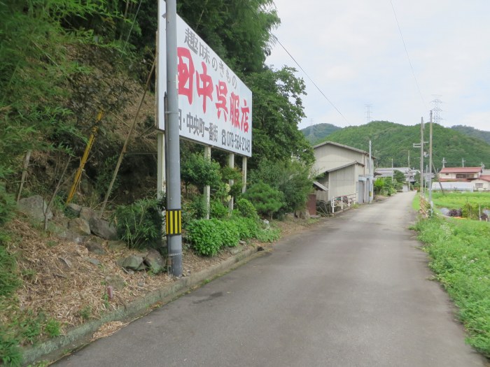 丹波篠山市南矢代/一里松跡写真