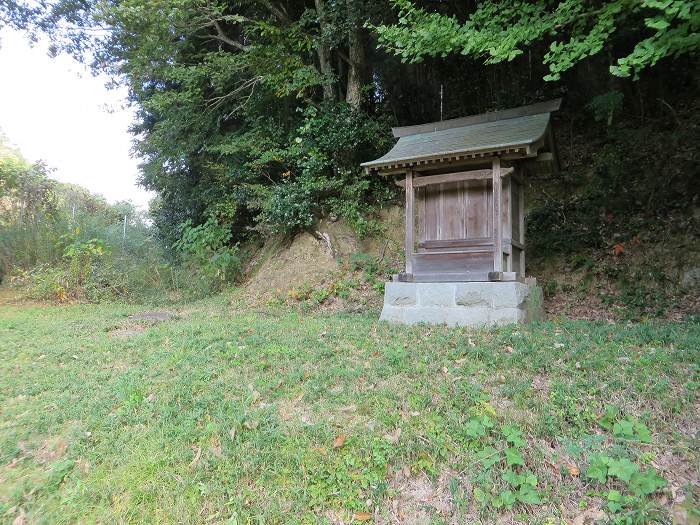 丹波篠山市真南条下/薬師神社写真