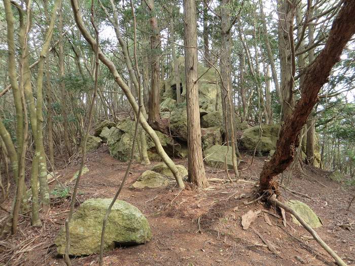 丹波篠山市南矢代/虚空蔵さん写真