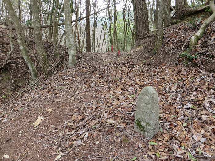 丹波篠山市南矢代/高仙寺尾根の峠写真