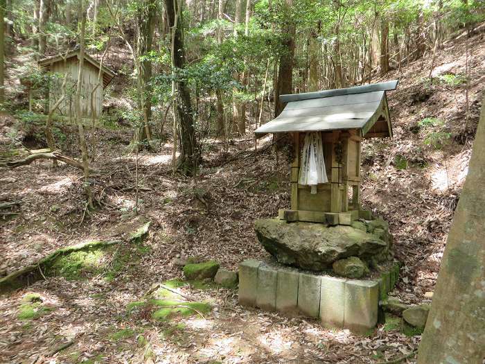 丹波篠山市矢代新/大歳神社写真