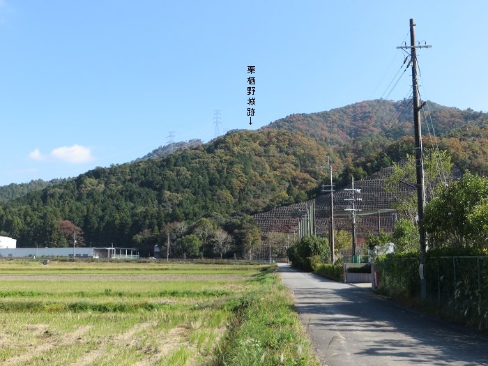 丹波篠山市栗栖野/栗栖野城跡写真