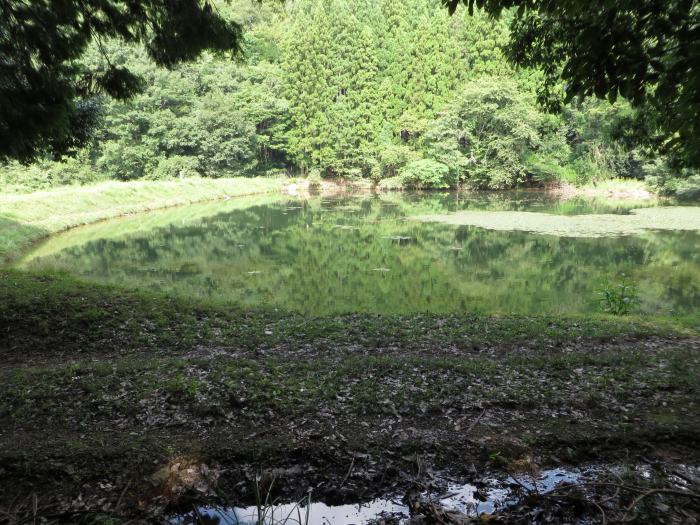 丹波篠山市真南条中/宮奥池写真