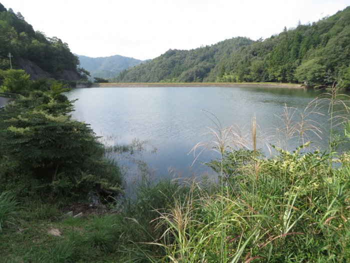 丹波篠山市真南条上/田口池写真