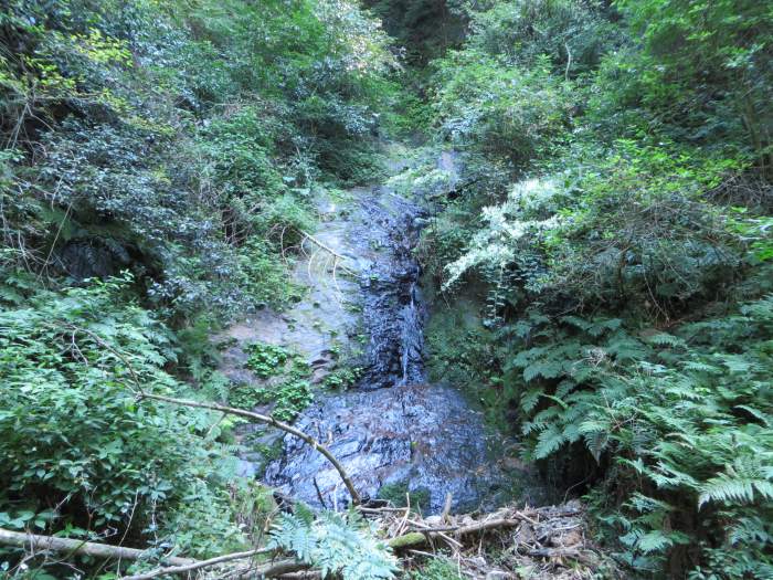 丹波篠山市真南条上/愛宕山忍の滝写真