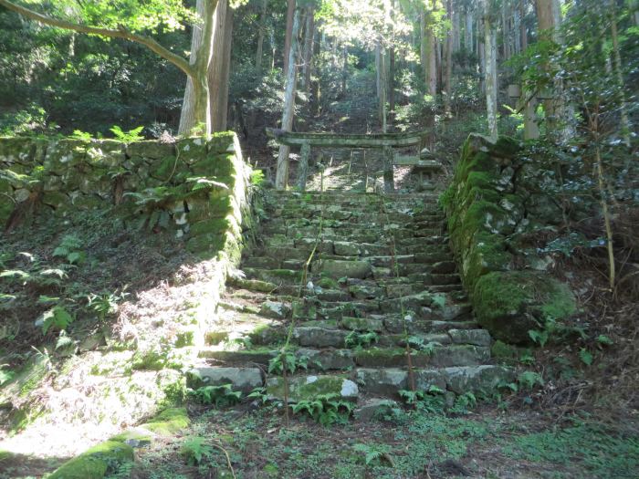 丹波篠山市真南条上/愛宕堂薬師堂跡写真