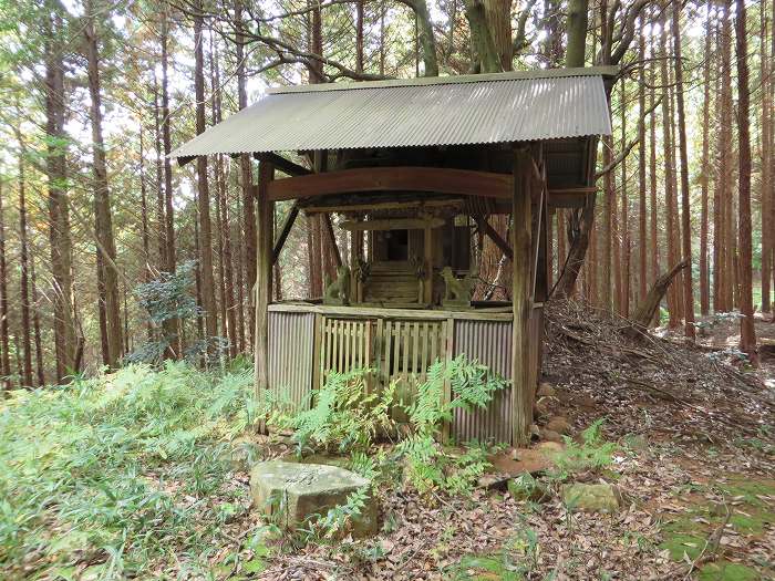 丹波篠山市真南条中/稲荷神社写真