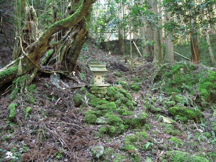 丹波篠山市真南条上/愛宕山写真