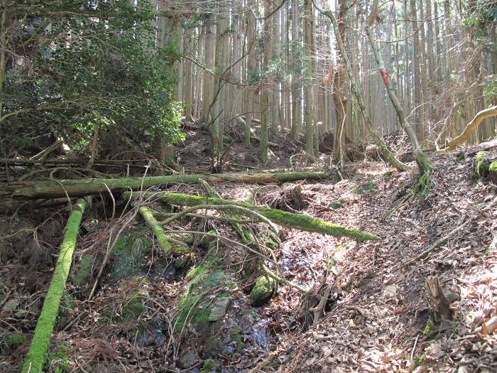 丹波篠山市真南条上/愛宕山写真