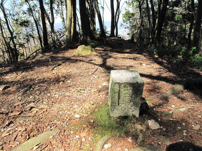 丹波篠山市真南条上/愛宕山写真