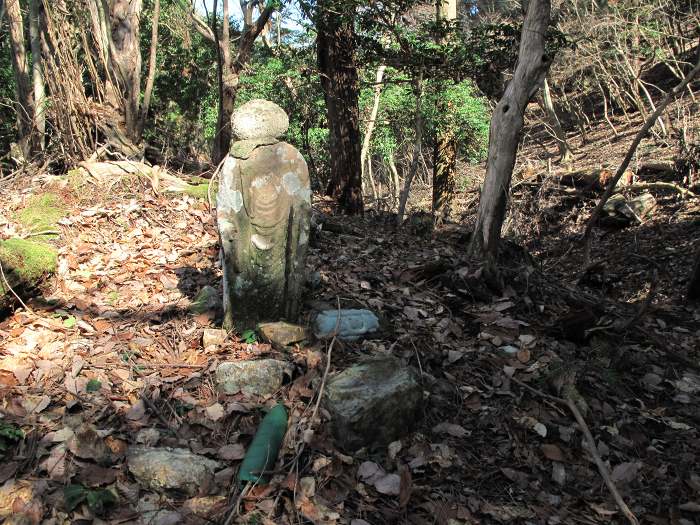 丹波篠山市真南条上/愛宕山写真