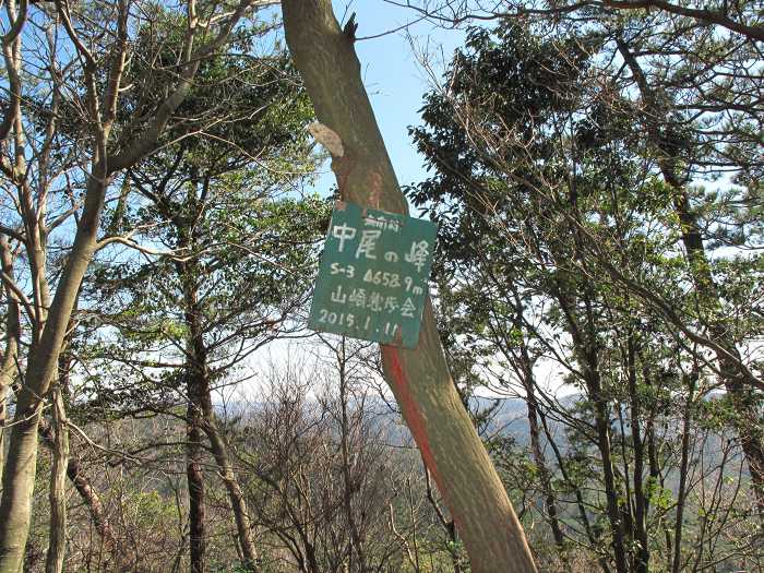 丹波篠山市真南条上/中尾の峰