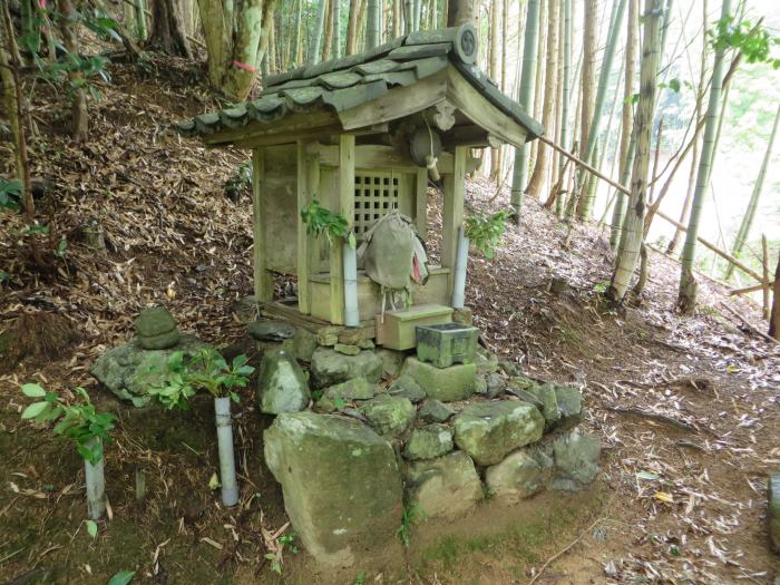 丹波篠山市犬飼/たいようさん写真