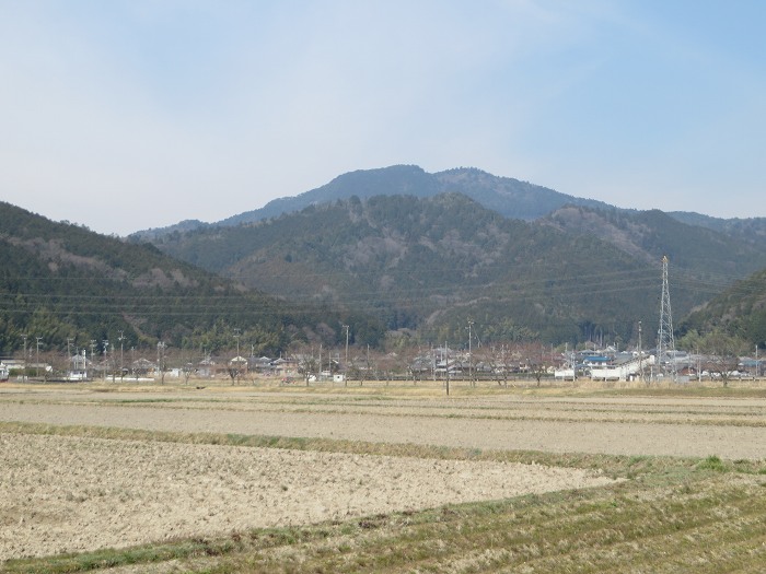 丹波篠山市南矢代/音羽山写真