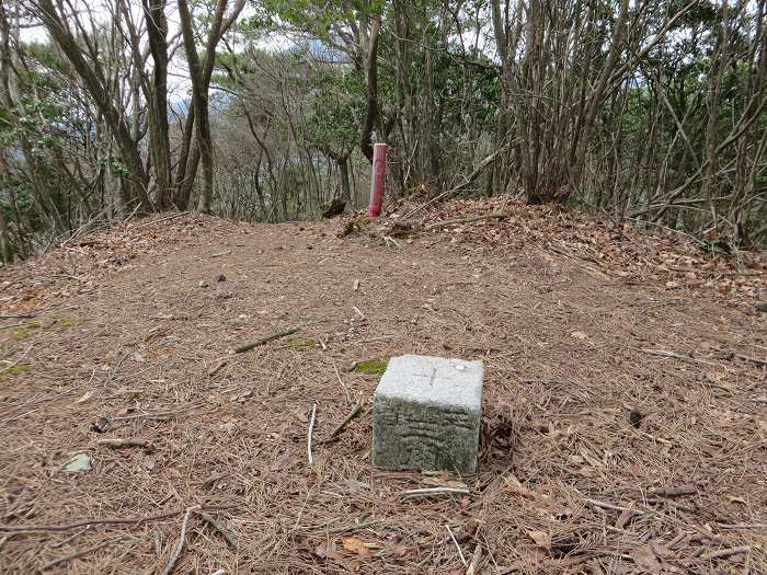 丹波篠山市南矢代/音羽山写真