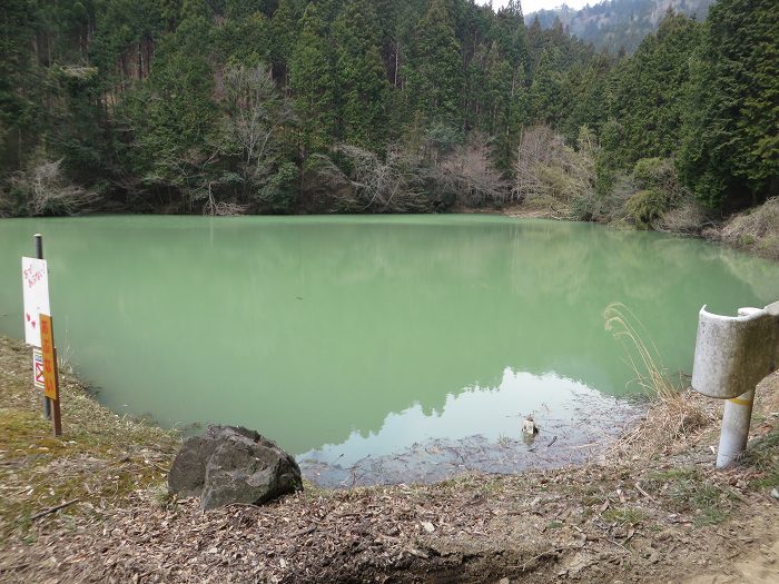 丹波篠山市南矢代/矢代奥池写真