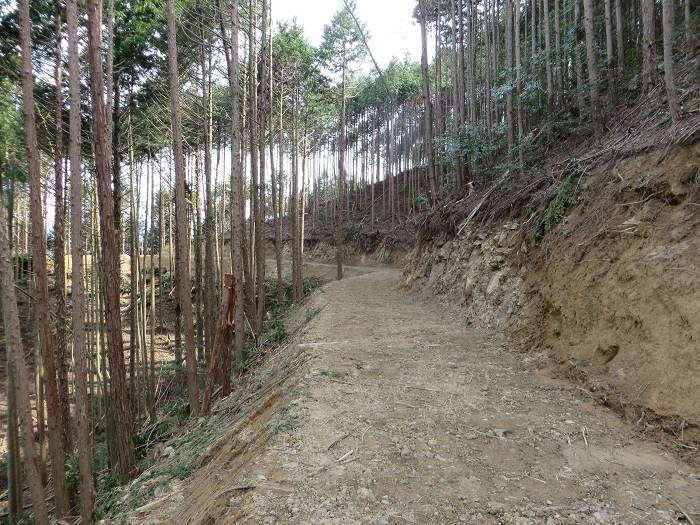 丹波篠山市南矢代/高仙寺尾根の峠写真