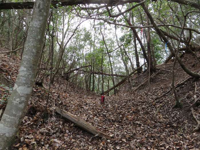 丹波篠山市南矢代/高仙寺尾根の峠写真