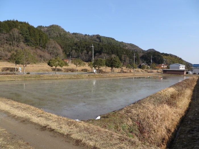 丹波篠山市真南条上/分かれ田写真