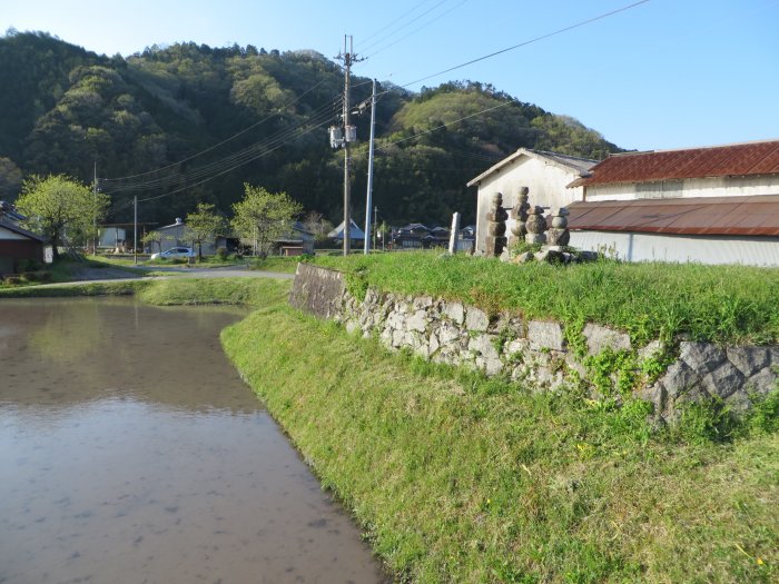 丹波篠山市真南条中/壇塔の塚写真