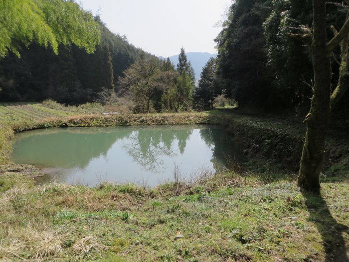 丹波篠山市初田/初田峠溜池写真