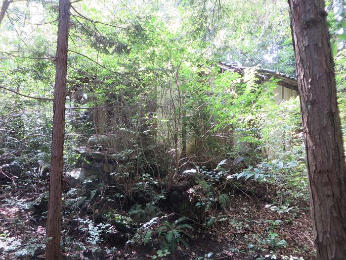 丹波篠山市真南条中/金毘羅神社写真