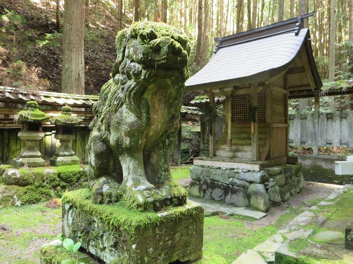 丹波篠山市初田/八柱神社写真