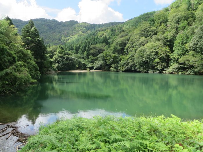 丹波篠山市小枕/瀧谷池写真