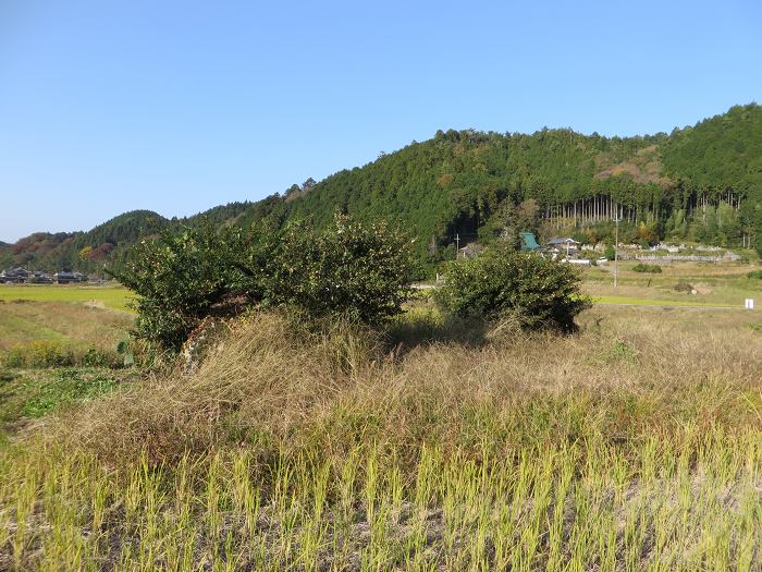 丹波篠山市小枕/瑞林寺古墳群写真