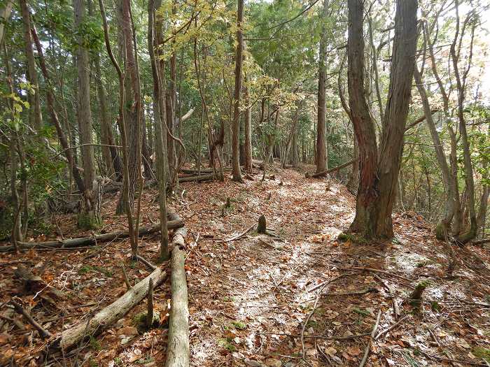 丹波篠山市小枕/火打ヶ嶽写真