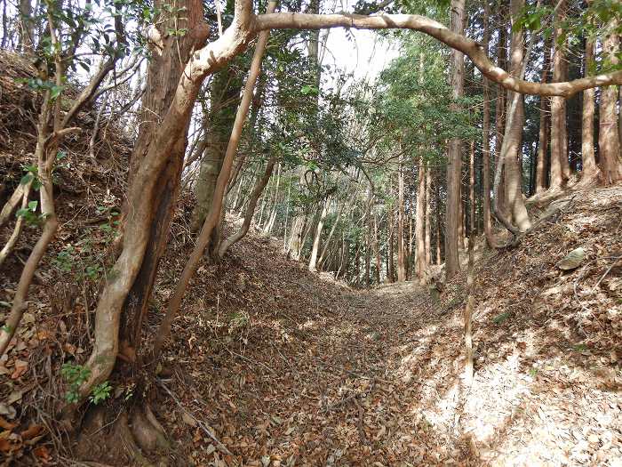 丹波篠山市小枕/天王峠写真