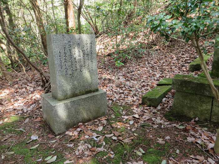 丹波篠山市味間奥/波多野秀治墓碑写真