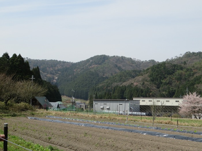 丹波篠山市味間奥/ナースバシ写真