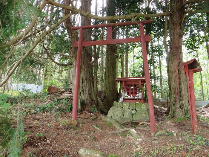 丹波篠山市味間奥/稲荷神社写真