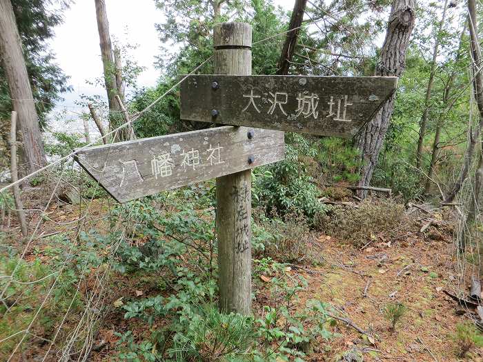 丹波篠山市大沢/禄庄城址写真