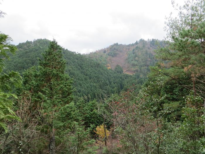 丹波篠山市大沢/奥谷山写真