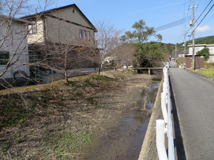 丹波篠山市大沢新/谷中分水界写真