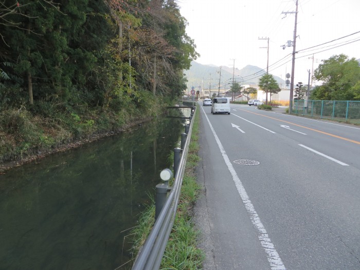 丹波篠山市杉/田松川写真