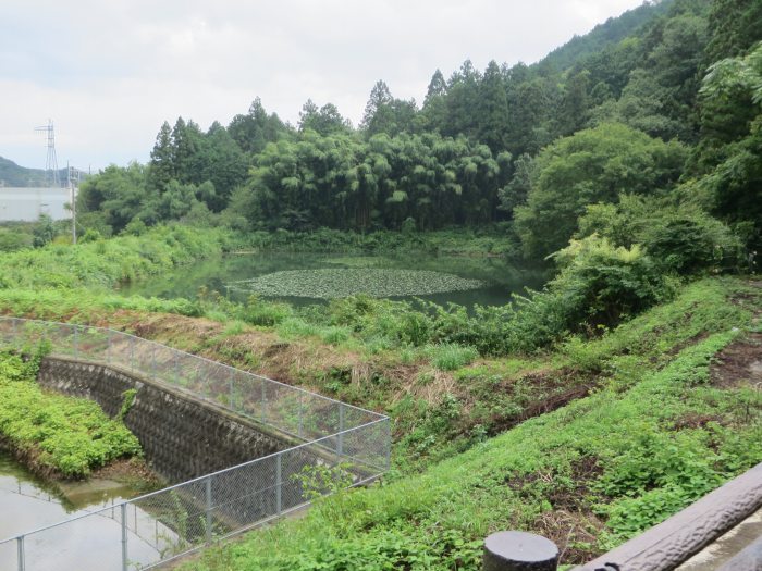 丹波篠山市宇土/一里松池写真