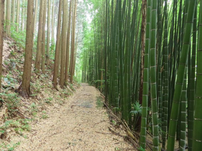 丹波篠山市宇土/一里松池写真