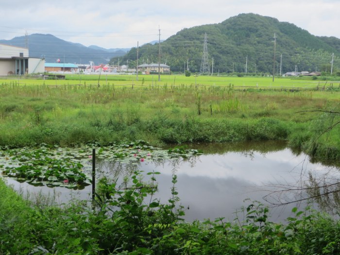 丹波篠山市宇土/一里松池写真