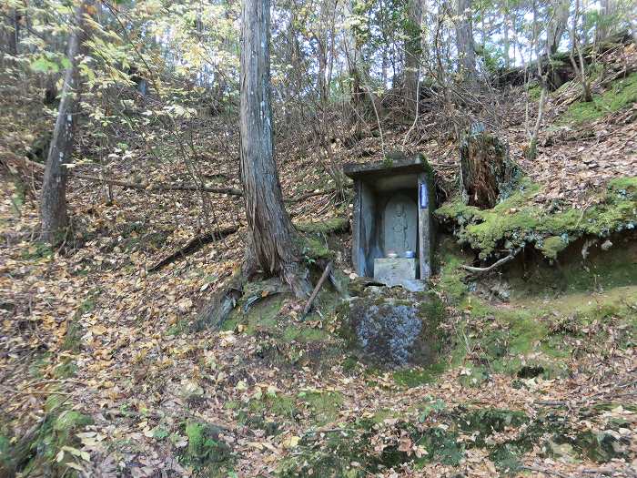 丹波篠山市宇土/清瀧山弘誓寺写真