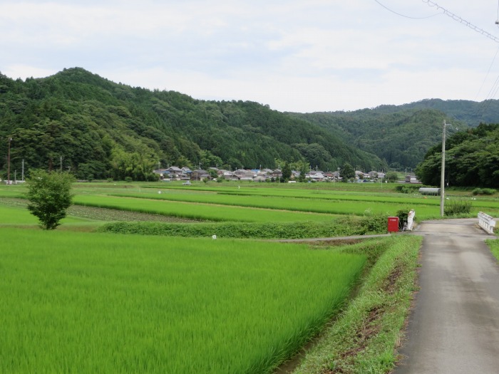 丹波篠山市小枕/景色写真